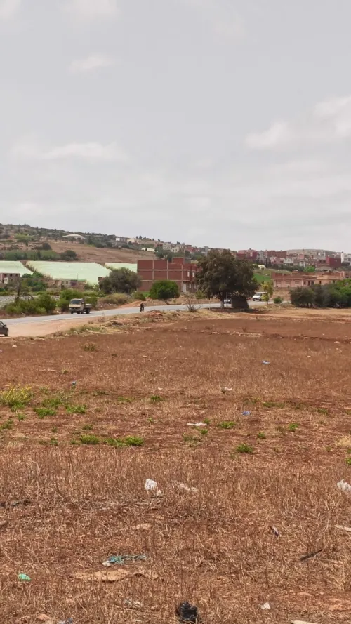 Vente Terrain Tlemcen Ghazaouet