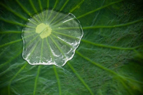 حفر الابار العميقة  Forage d eau Profond