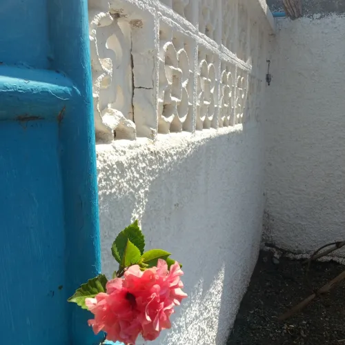 Location vacances Bungalow Béjaïa Souk el thenine