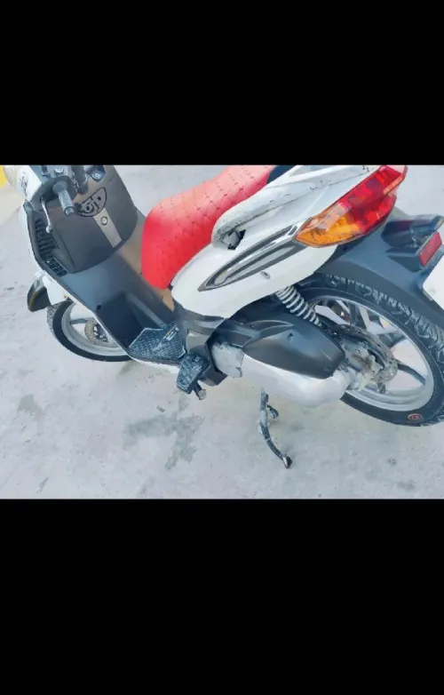 benelli logic 2018