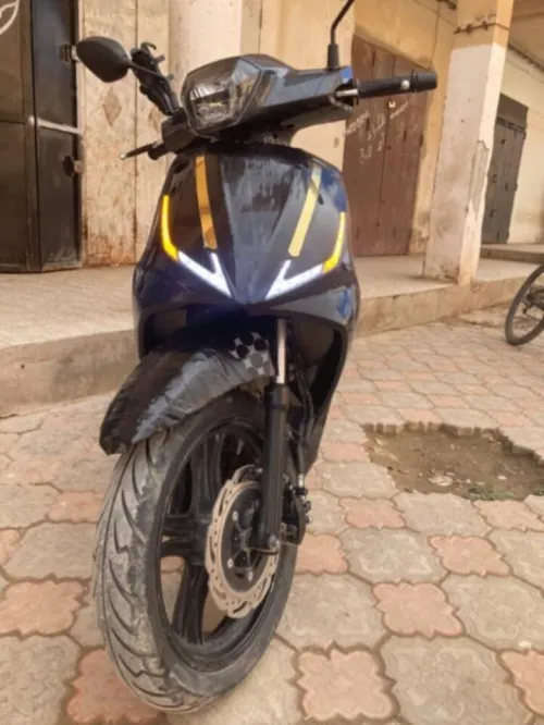 Vms korale Korale 2024