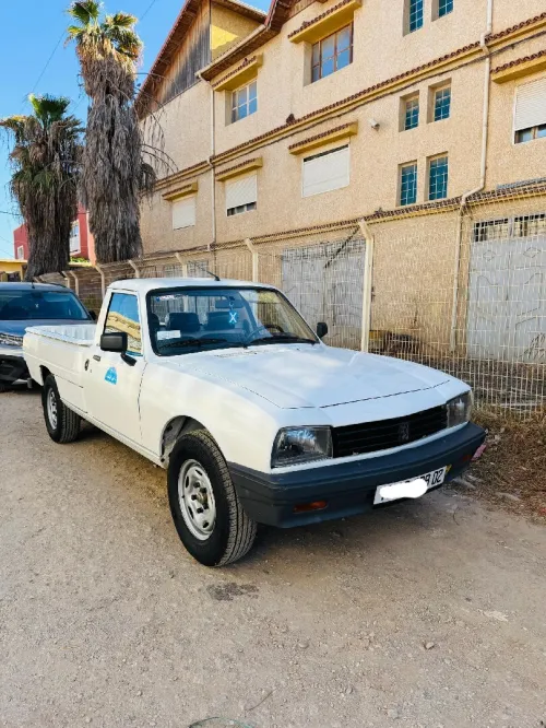 Peugeot 504 1999 Bachi