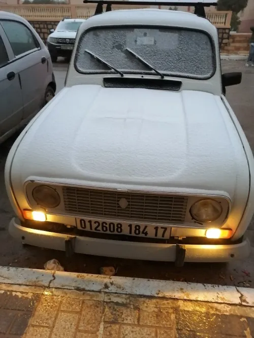 Renault 4 1984 TL