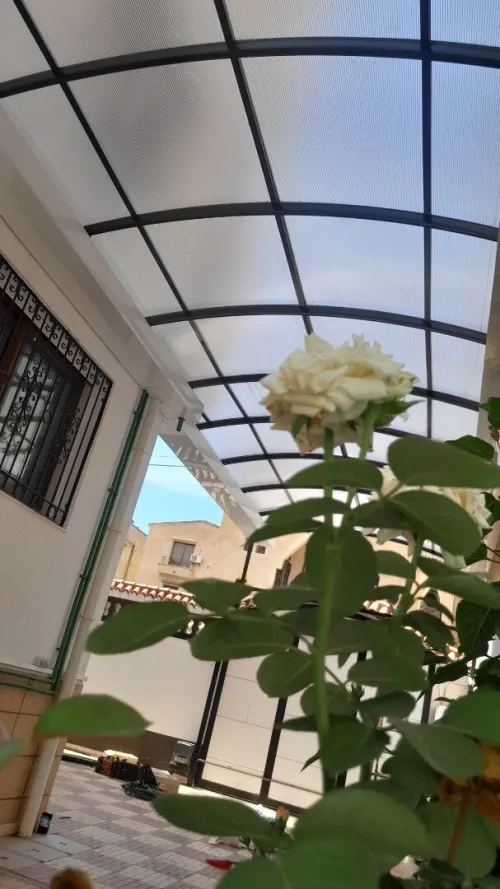  tinda policarbonette
