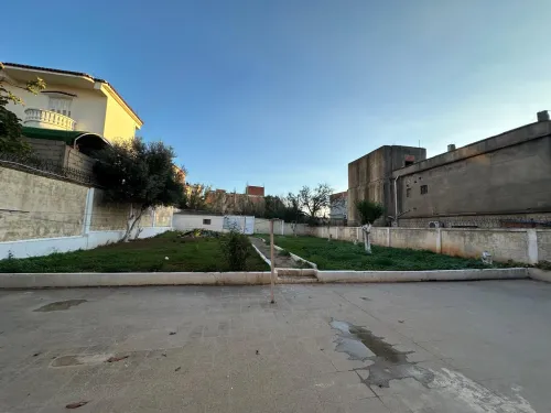 Vente Terrain Alger Birkhadem