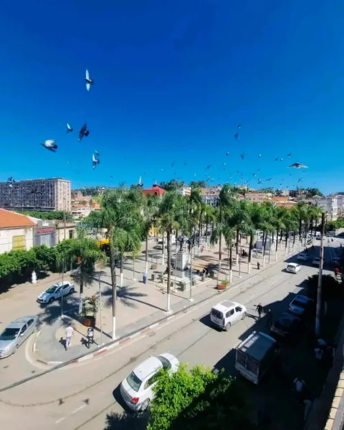 Vente Terrain Alger El harrach