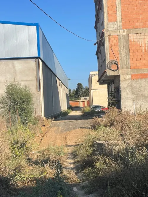 Vente Villa Boumerdès Hammedi