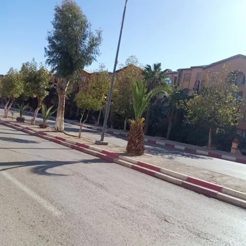Vente Appartement F3 Tiaret Tiaret