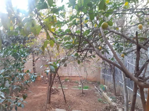 Vente Villa Alger El achour