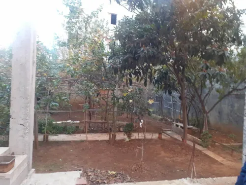 Vente Villa Alger El achour