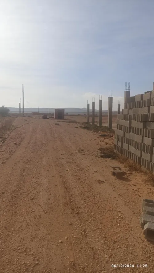 Vente Terrain Agricole Djelfa Birine