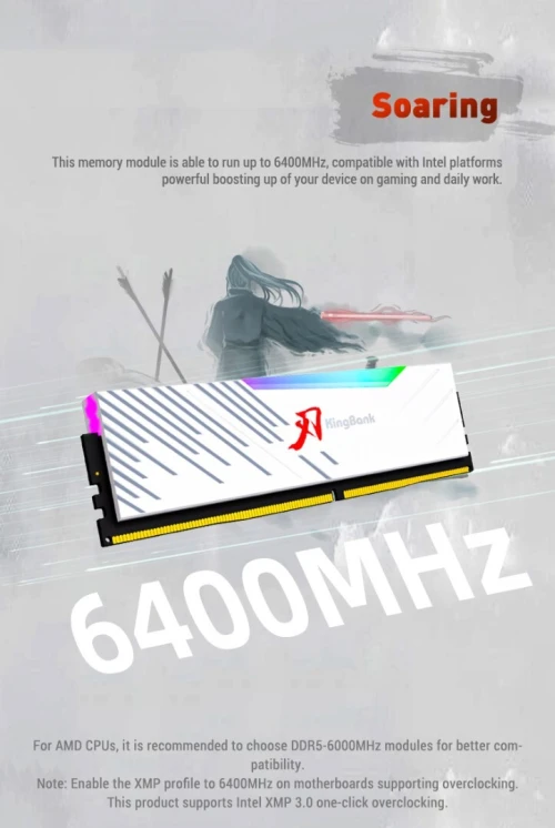 RAM 32Gb DDR5 6400Mhz kingbank