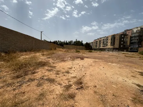 Vente Terrain Mostaganem Mostaganem