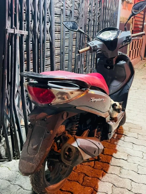Sym St 2018