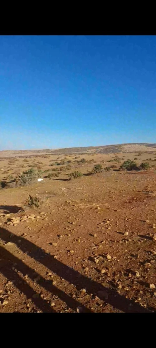 Vente Terrain Oran Sidi chami