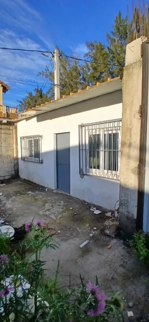 Location Terrain Blida Beni tamou