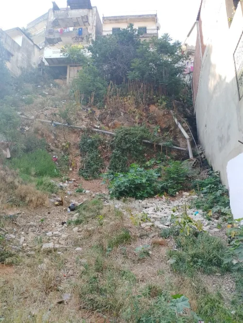 Vente Terrain Alger El biar
