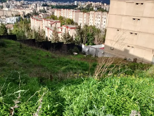 Vente Terrain Tizi Ouzou Tizi ouzou