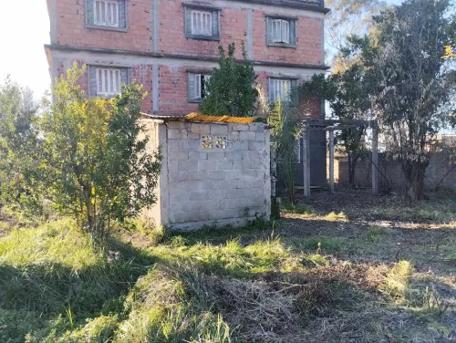 Vente Terrain Jijel Djemaa beni habibi