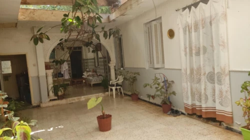 Vente Terrain Tlemcen Tlemcen