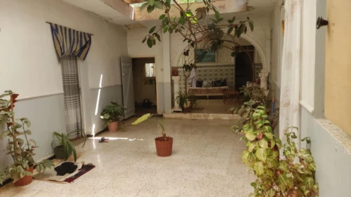 Vente Terrain Tlemcen Tlemcen