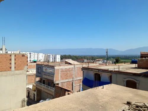 Vente Tipaza Attatba