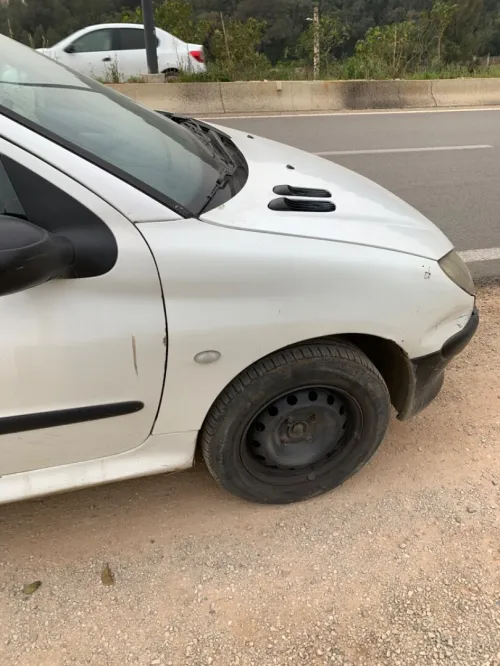 Peugeot 206 2002 La base