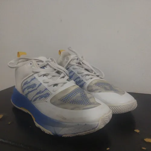 Peak basketball shoea