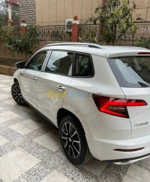 Skoda Karoq 2025 TT option