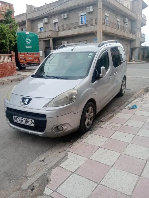 Peugeot Partner 2009 Tepee