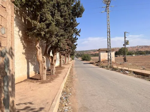 Vente Terrain Mostaganem Hassi maameche
