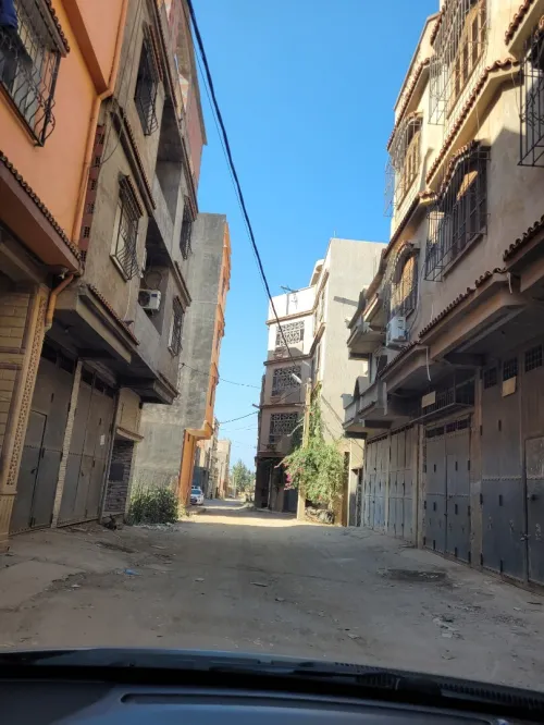 Vente Terrain Blida Chiffa
