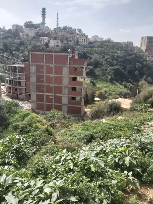 Vente Terrain Alger Bouzareah