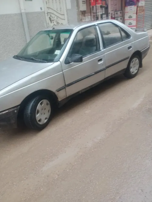 Peugeot 405 1990 405