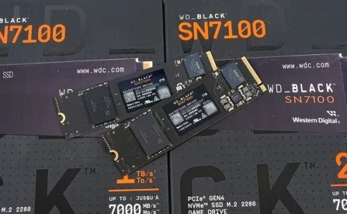 SSD M.2 PCIe 4.0 NVMe Western Digital Black SN7100 1TB