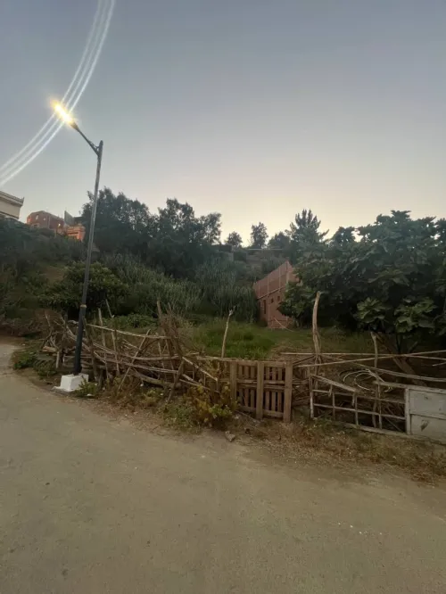 Vente Terrain Alger Mahelma
