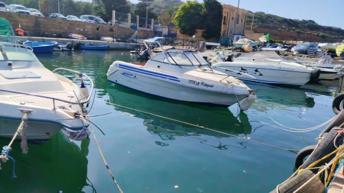 Bateau QUICKSILVER 560