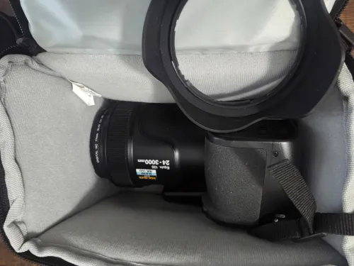 Nikon P1000