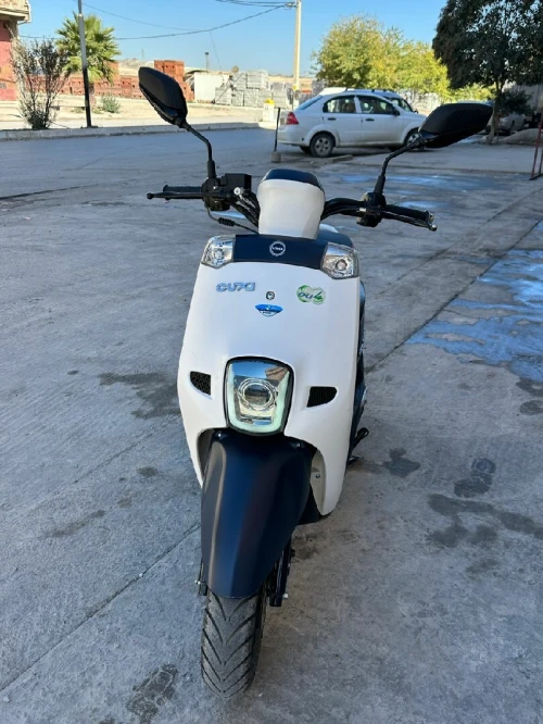 Cuxi Cuxi1 2025