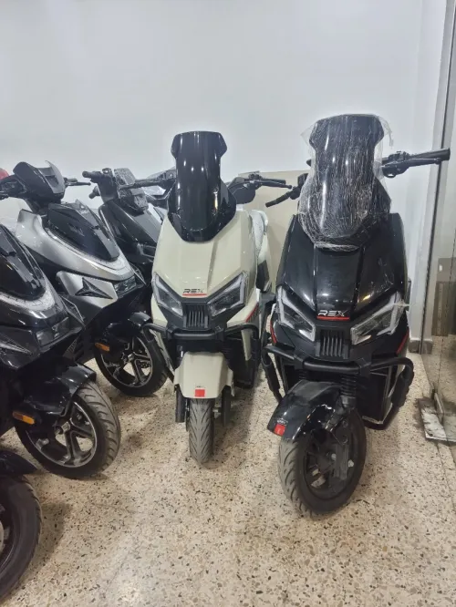 REX Electrique 2025