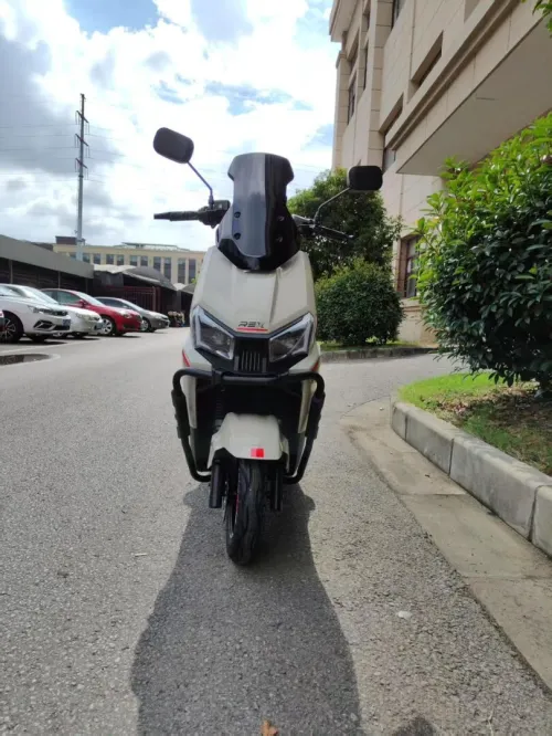 REX Electrique 2025