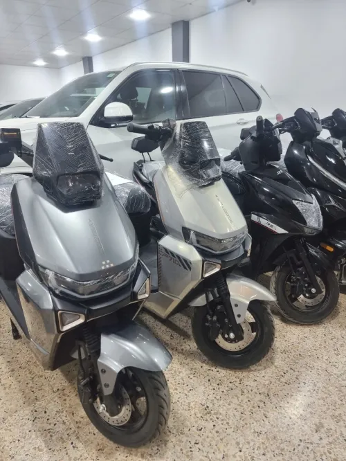 REX Electrique 2025