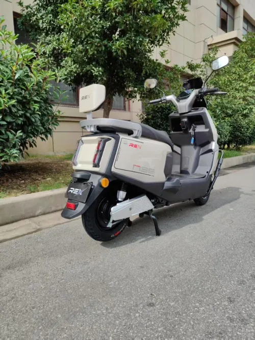 REX Electrique 2025