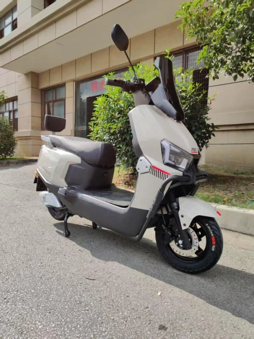 REX Electrique 2025