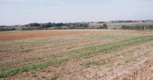 Vente Terrain Agricole Ouargla Ngoussa