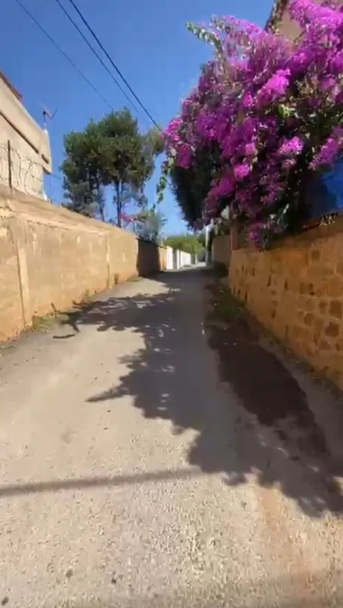Vente Terrain Tipaza Tipaza