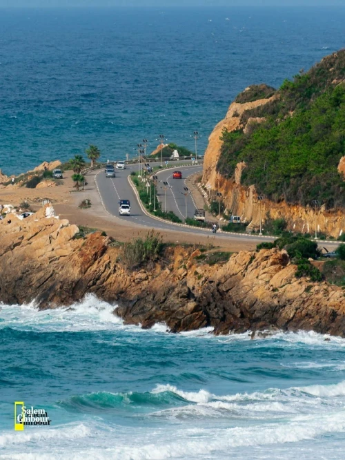 Vente Terrain Jijel Jijel