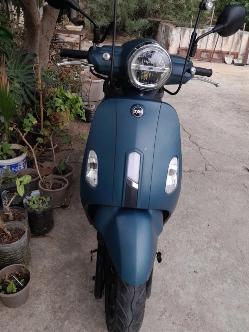 Fidelle 4 Fidelle 4 2024
