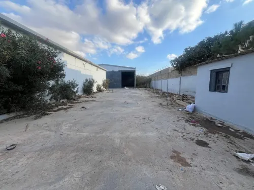 Location Hangar - Usine Oran Es senia