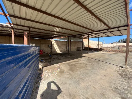 Location Hangar - Usine Oran Sidi chami